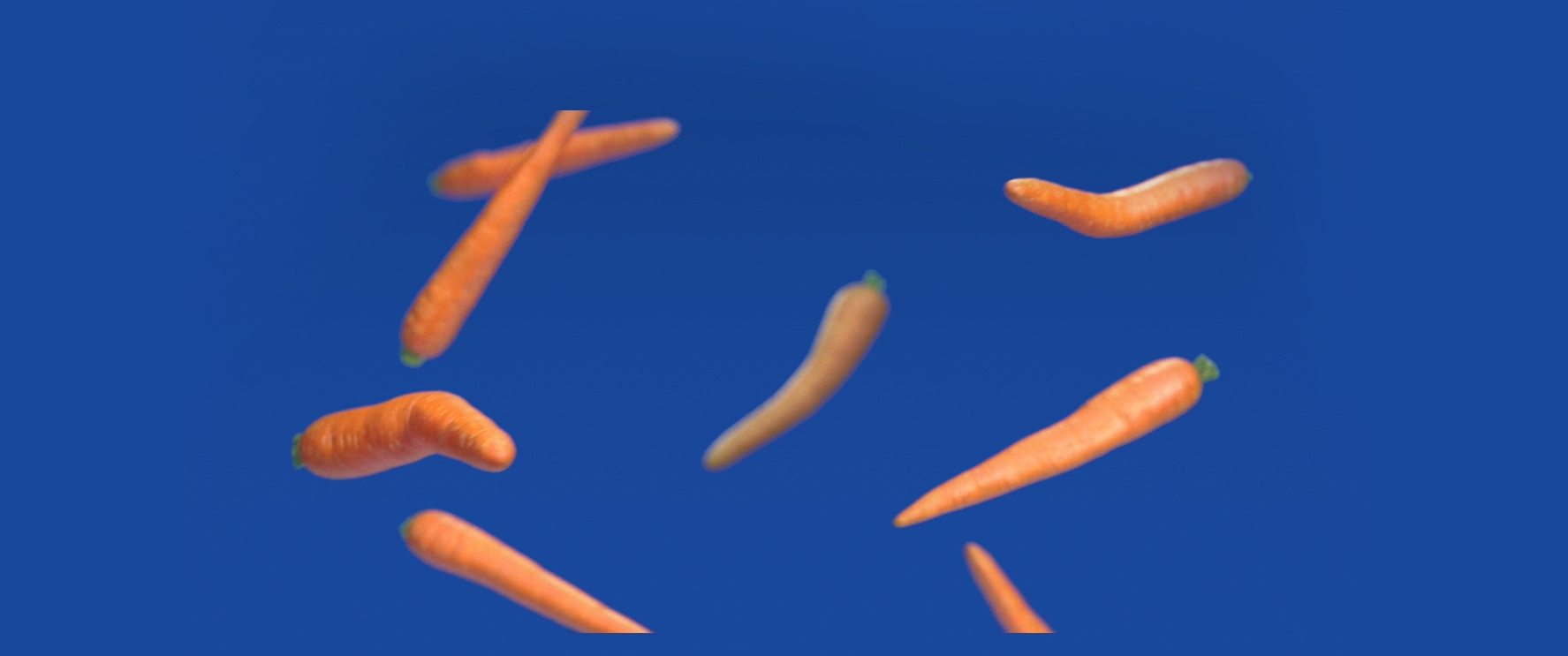 bent carrots floating on blue background